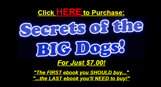 Secrets Of The Big Dogs Review - How To Increase Website Traffic Fast