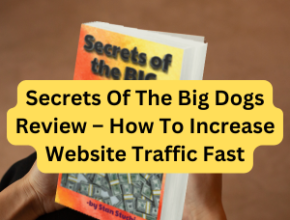 Secrets Of The Big Dogs Review – How To Increase Website Traffic Fast