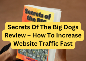 Secrets Of The Big Dogs Review – How To Increase Website Traffic Fast